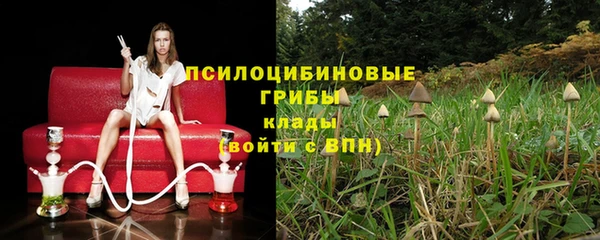 Альфа ПВП Касимов