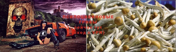 Альфа ПВП Касимов