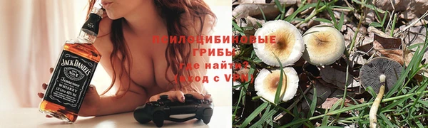 MESCALINE Карпинск