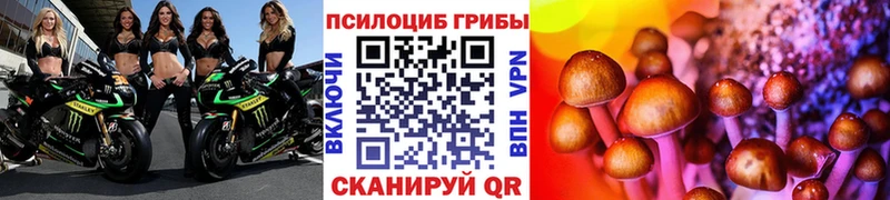Галлюциногенные грибы MAGIC MUSHROOMS Купить Белоярский
